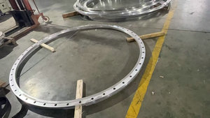 ���m���X���m